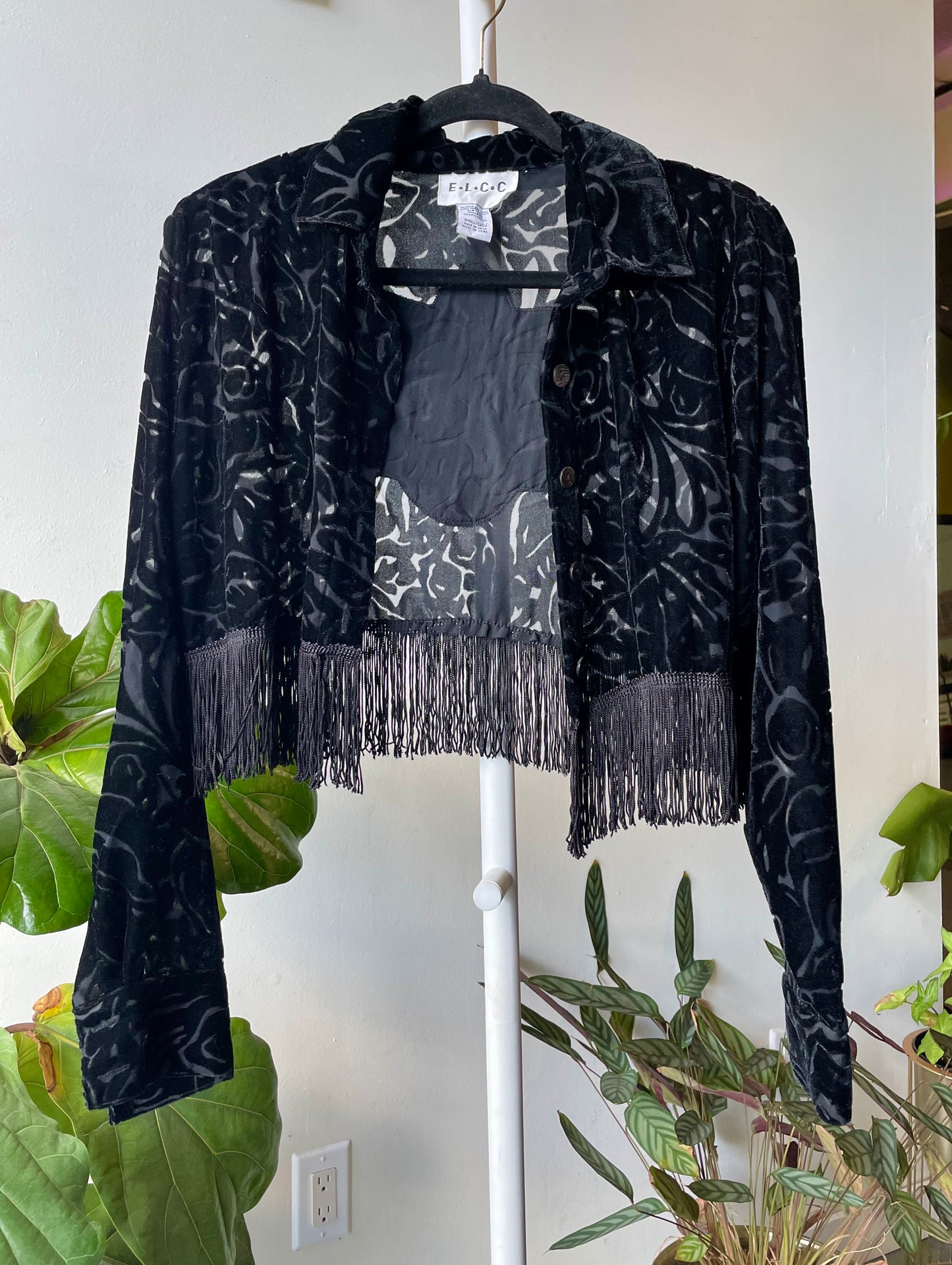 Moth Fringe Crop S
