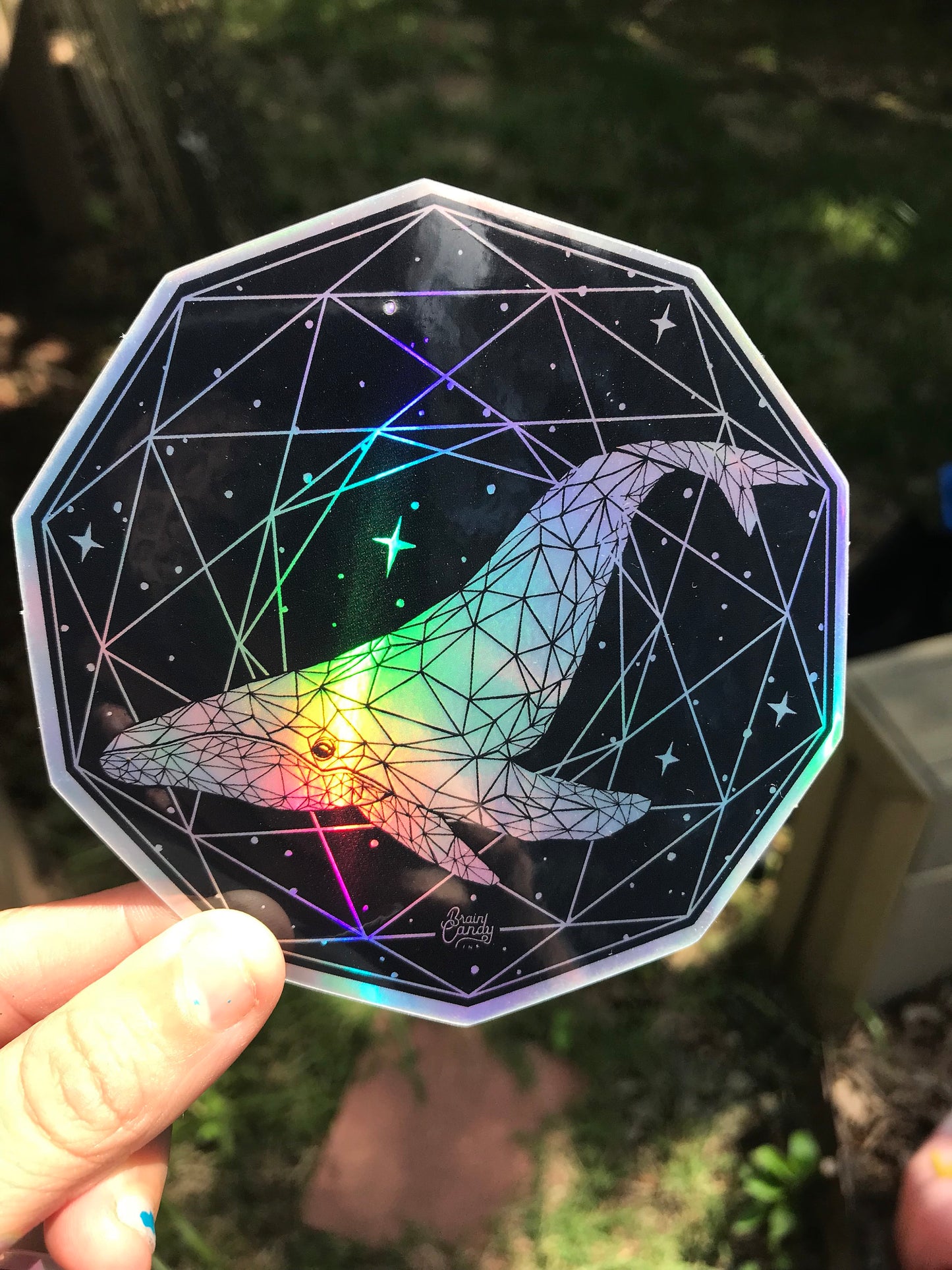 Whale Holographic Sticker